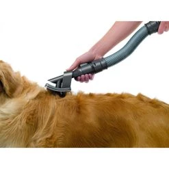 Dyson Brosse Pour Chien GROOM
